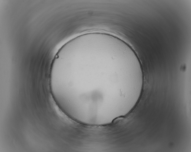 X0000110681534200907021858