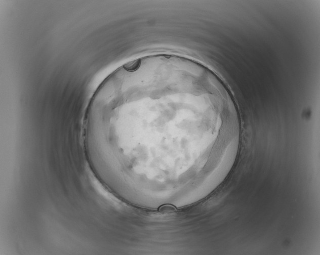 X0000110681535200907021858