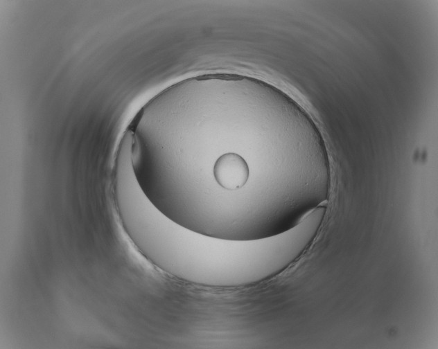 X0000110681536200907021858