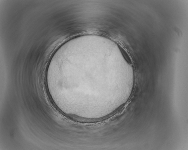 X0000110680001200907101137