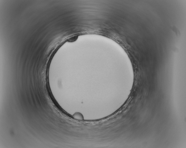 X0000110680002200907101137