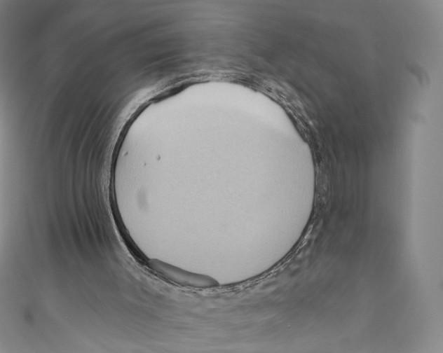 X0000110680003200907101137