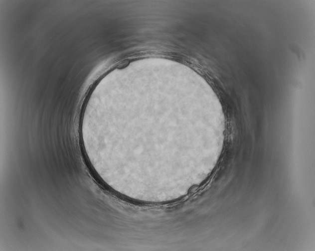 X0000110680004200907101137