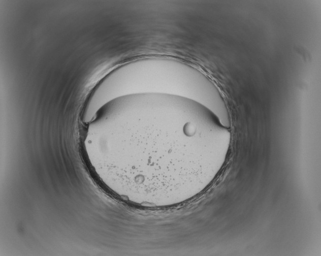 X0000110680005200907101137