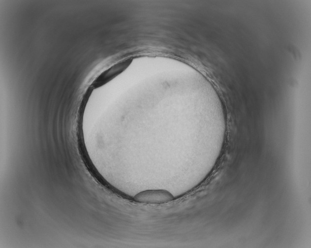X0000110680007200907101137