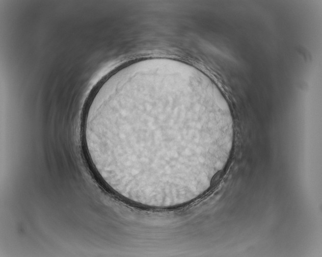 X0000110680008200907101137