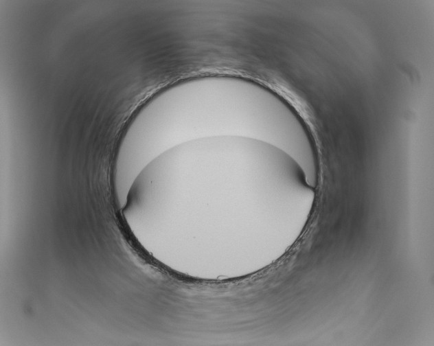 X0000110680009200907101137
