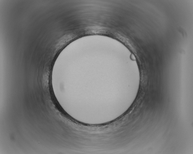 X0000110680010200907101137