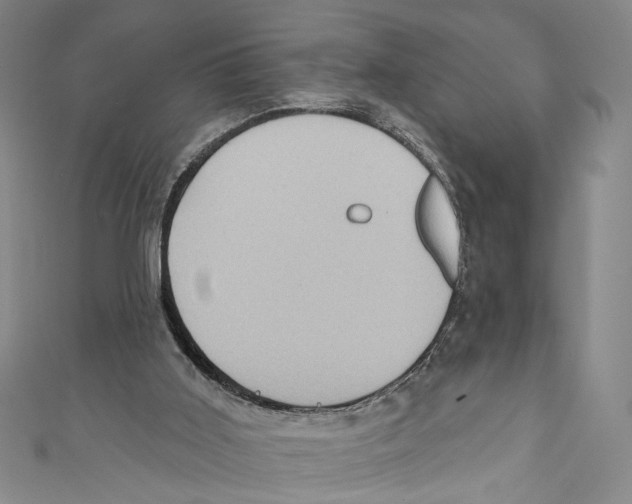 X0000110680011200907101137
