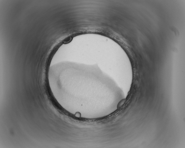 X0000110680012200907101137