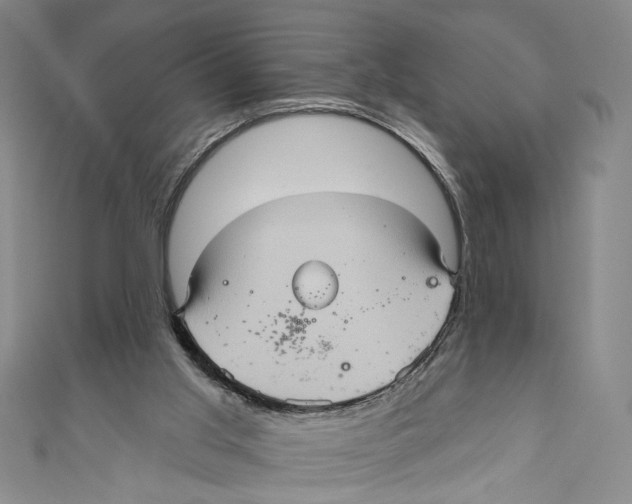 X0000110680013200907101137