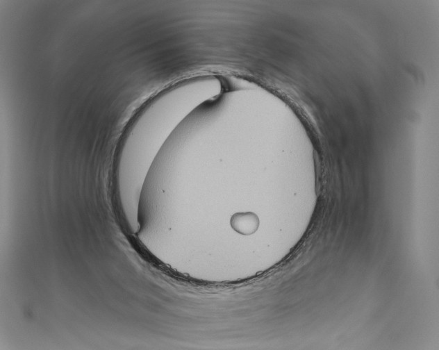 X0000110680015200907101137