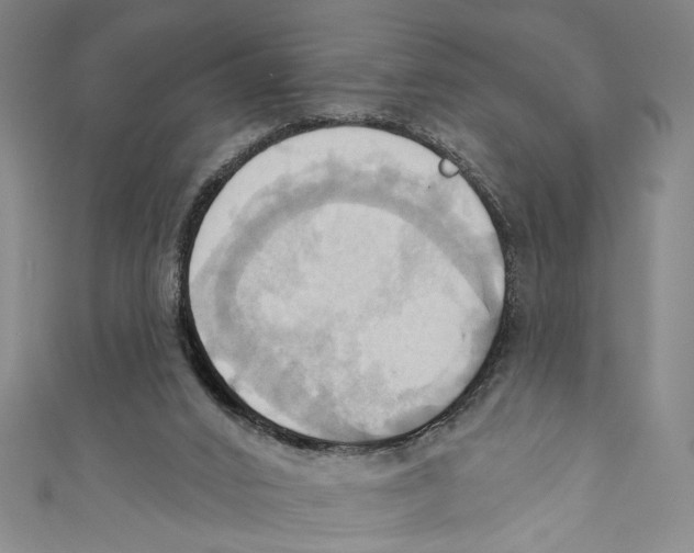 X0000110680016200907101137