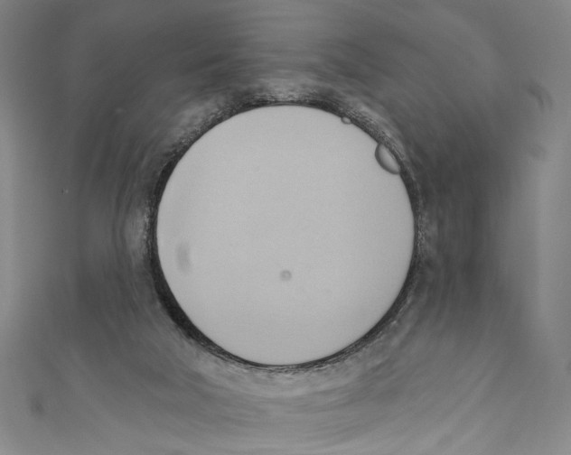 X0000110680018200907101137
