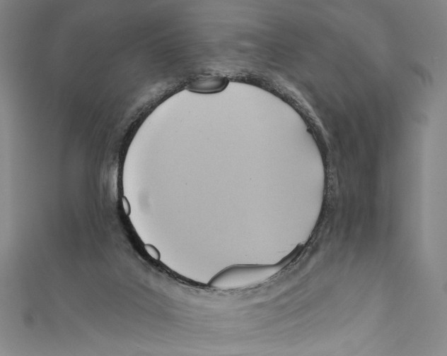 X0000110680019200907101137