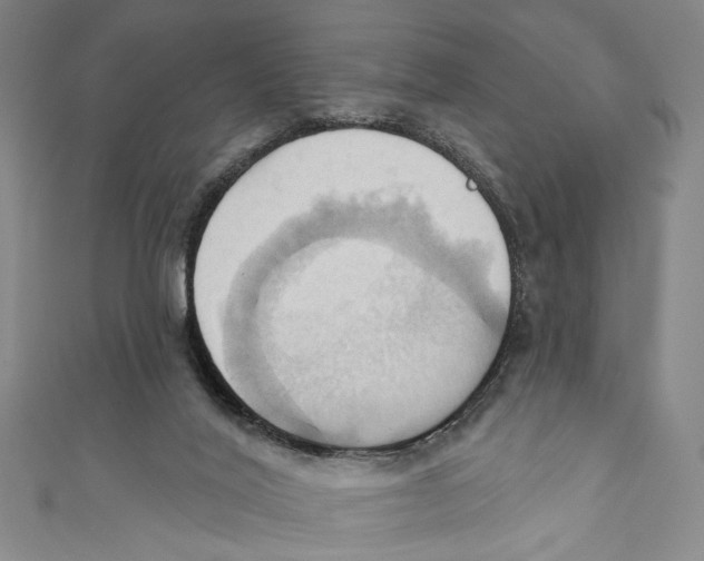 X0000110680020200907101137