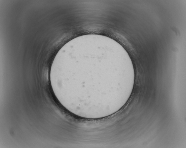 X0000110680021200907101137