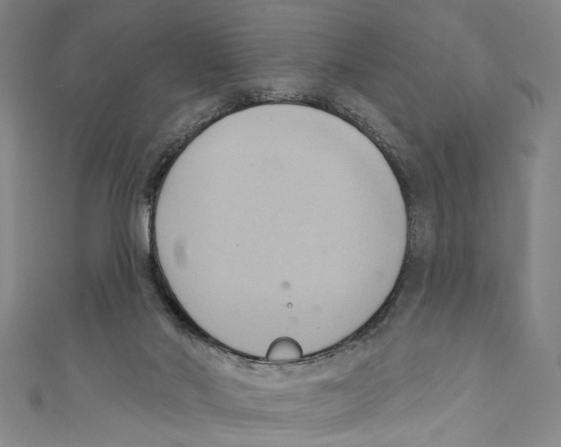 X0000110680022200907101137