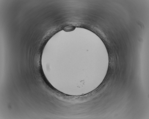 X0000110680023200907101137