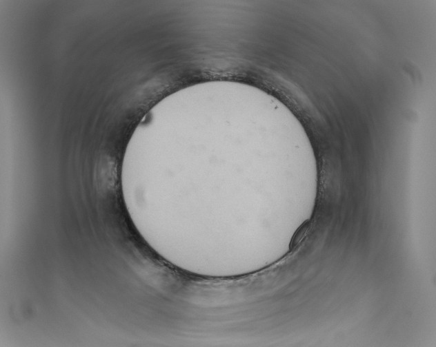 X0000110680025200907101137