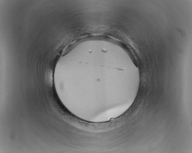 X0000110680027200907101137