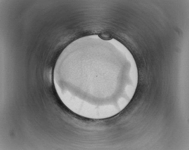 X0000110680028200907101137