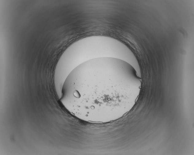 X0000110680029200907101137