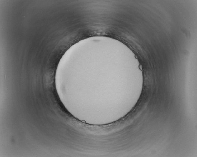 X0000110680030200907101137
