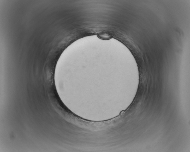 X0000110680031200907101137
