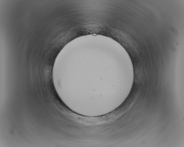 X0000110680034200907101137