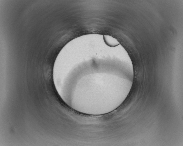 X0000110680036200907101137