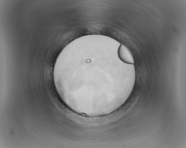 X0000110680038200907101137