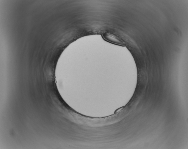 X0000110680039200907101137