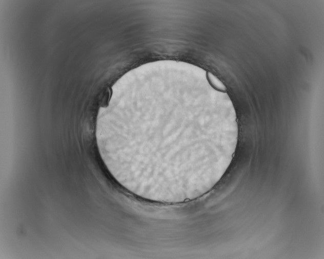 X0000110680040200907101137