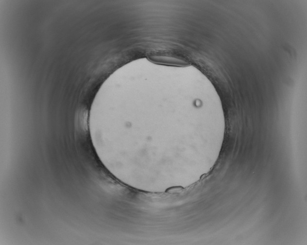 X0000110680041200907101137