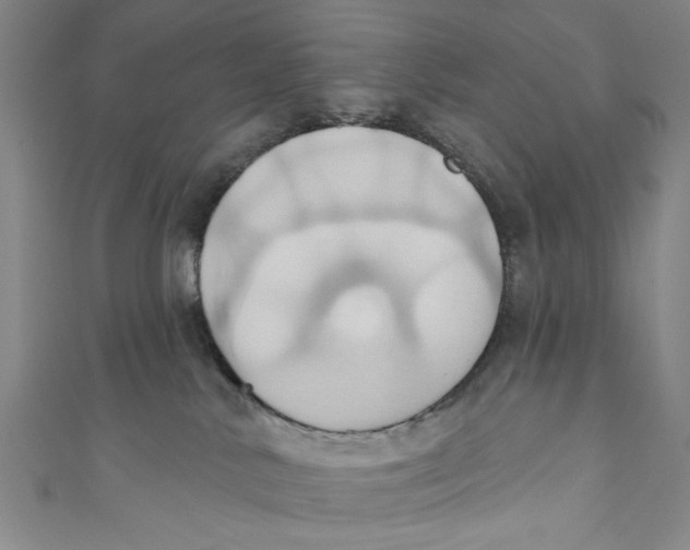 X0000110680042200907101137