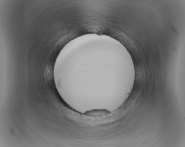 X0000110680043200907101136