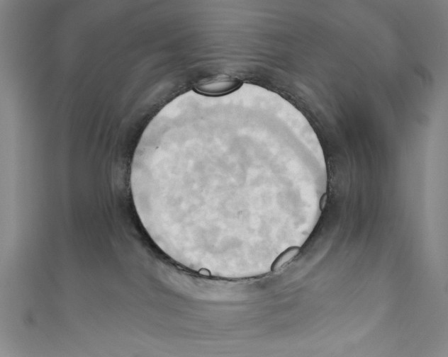 X0000110680044200907101136