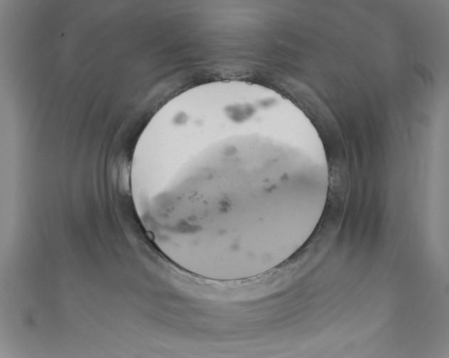 X0000110680046200907101136