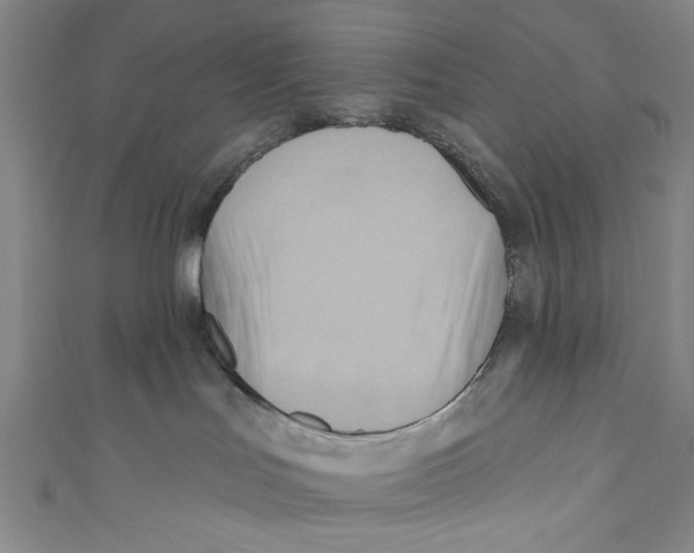 X0000110680047200907101136