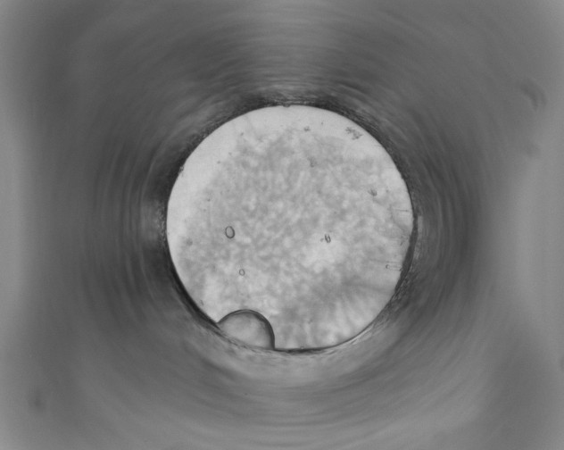 X0000110680048200907101136