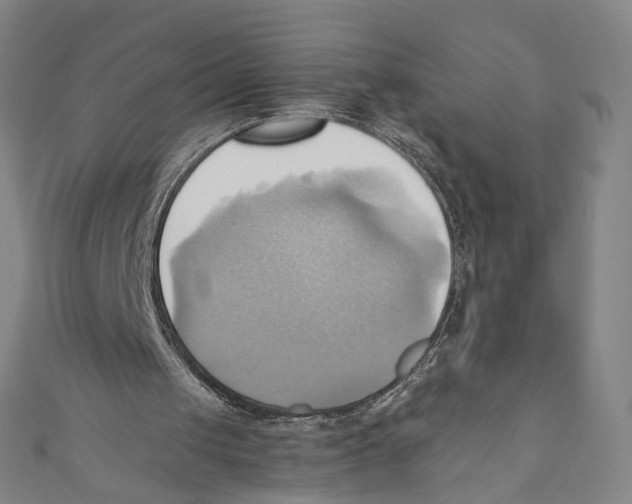 X0000110680049200907101136