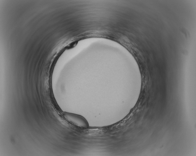 X0000110680050200907101136