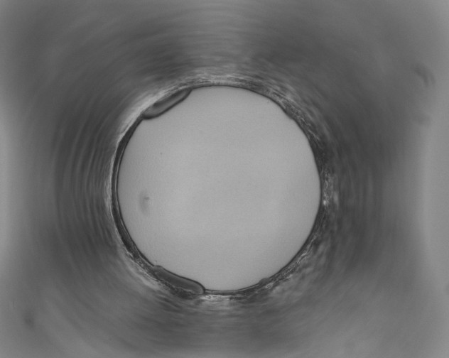 X0000110680052200907101136