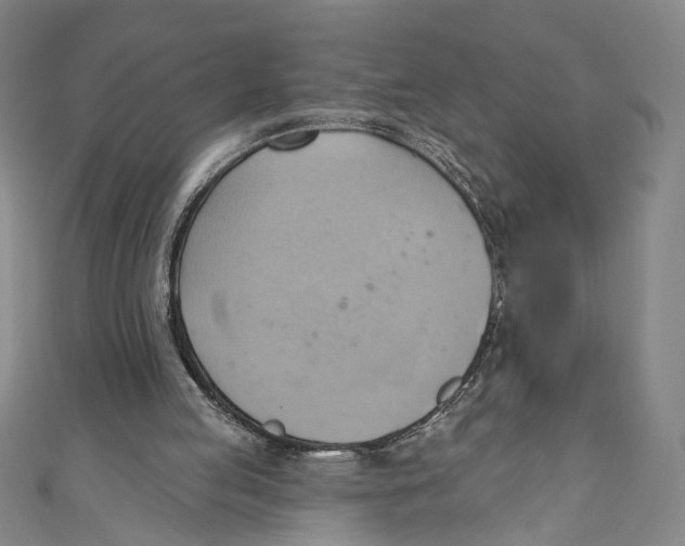 X0000110680053200907101136