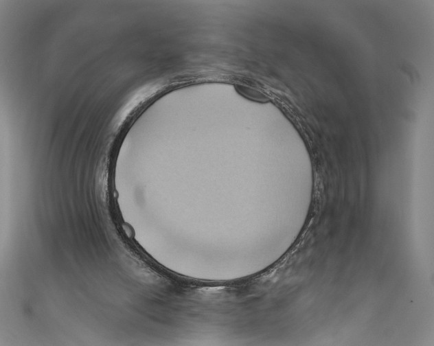 X0000110680054200907101136