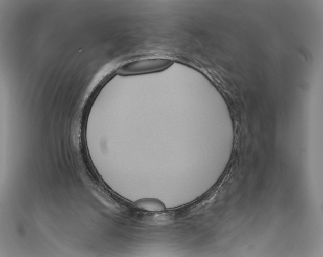 X0000110680056200907101136