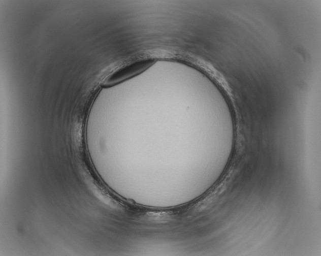 X0000110680057200907101136