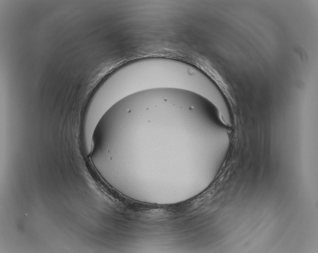 X0000110680058200907101136