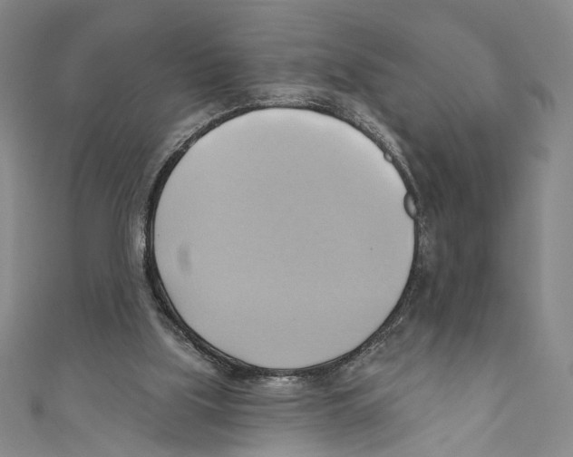 X0000110680059200907101136